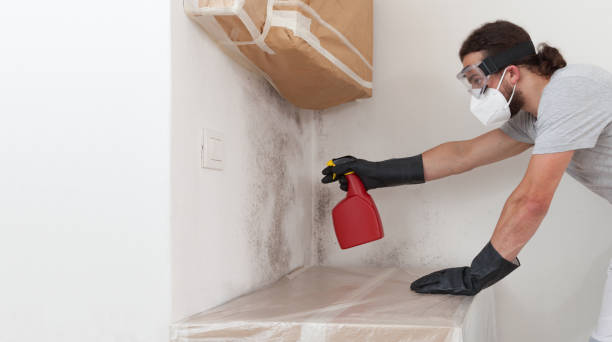 Professional Bathroom Mold Removal technician working in Franklin, NJ