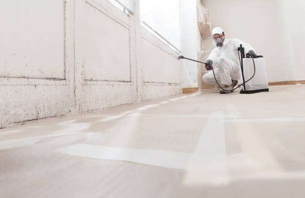 24/7 Emergency Bathroom Mold Removal experts in Franklin, NJ